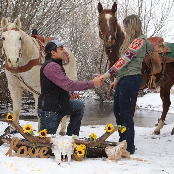 Meet your Posher, Lexie - Picture 1 of 1